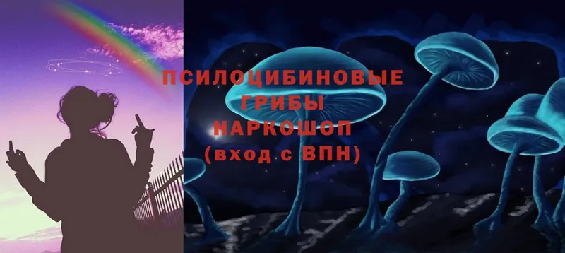 что такое   Новокубанск  мега ссылки  Псилоцибиновые грибы Magic Shrooms 